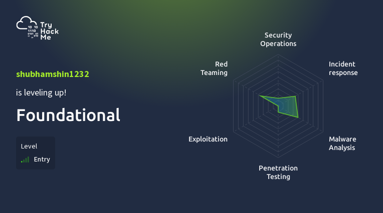 TryHackMe Skills Matrix